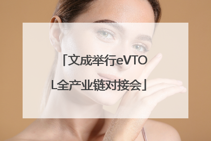 文成举行eVTOL全产业链对接会