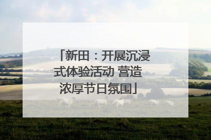 新田：开展沉浸式体验活动 营造浓厚节日氛围