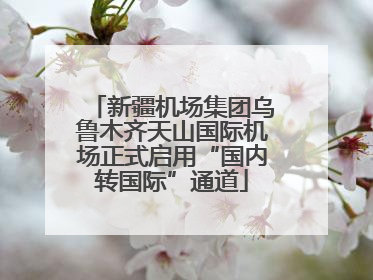 新疆机场集团乌鲁木齐天山国际机场正式启用“国内转国际”通道