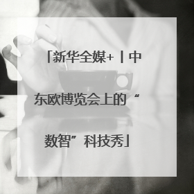新华全媒+丨中东欧博览会上的“数智”科技秀