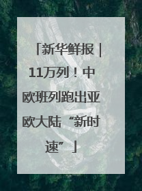 新华鲜报｜11万列！中欧班列跑出亚欧大陆“新时速”