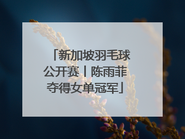 新加坡羽毛球公开赛丨陈雨菲夺得女单冠军