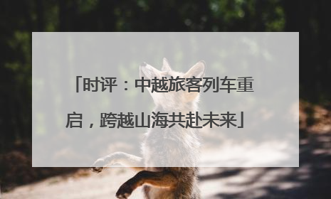时评：中越旅客列车重启，跨越山海共赴未来