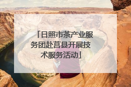 日照市茶产业服务团赴莒县开展技术服务活动
