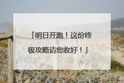 明日开跑！这份终极攻略请您收好！