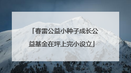 春雷公益小种子成长公益基金在坪上完小设立