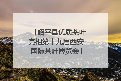 昭平县优质茶叶亮相第十九届西安国际茶叶博览会