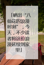晒出“八仙花的浪漫时刻”，今天，不少读者将这份浪漫延续到家里