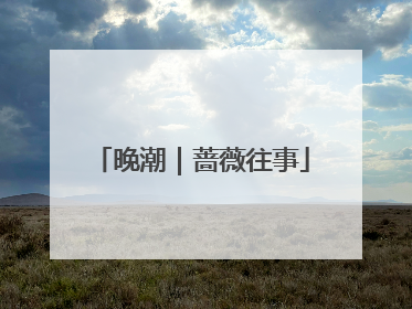 晚潮｜蔷薇往事