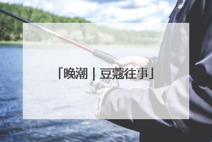 晚潮｜豆蔻往事