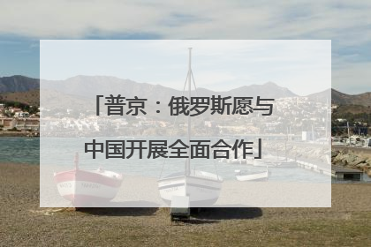 普京：俄罗斯愿与中国开展全面合作