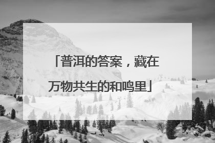 普洱的答案，藏在万物共生的和鸣里