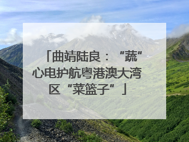 曲靖陆良：“蔬”心电护航粤港澳大湾区“菜篮子”