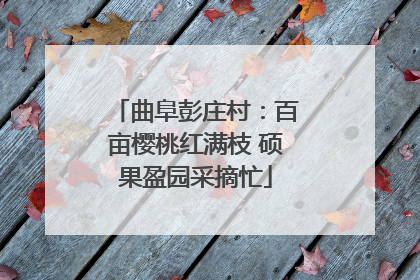 曲阜彭庄村：百亩樱桃红满枝 硕果盈园采摘忙