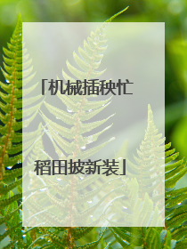 机械插秧忙 稻田披新装