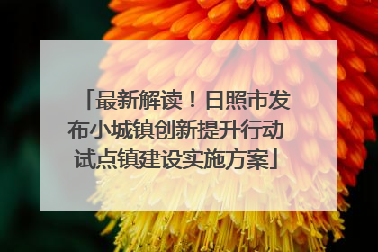 最新解读！日照市发布小城镇创新提升行动试点镇建设实施方案