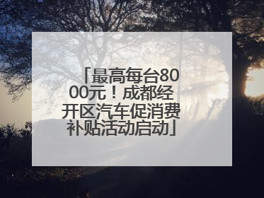 最高每台8000元！成都经开区汽车促消费补贴活动启动