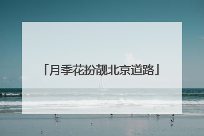 月季花扮靓北京道路