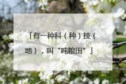 有一种科（种）技（地），叫“吨粮田”