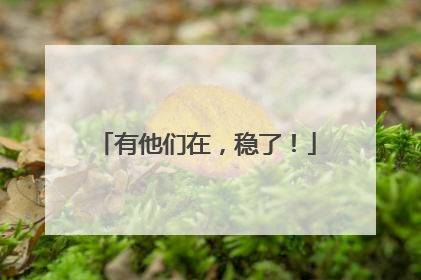 有他们在，稳了！