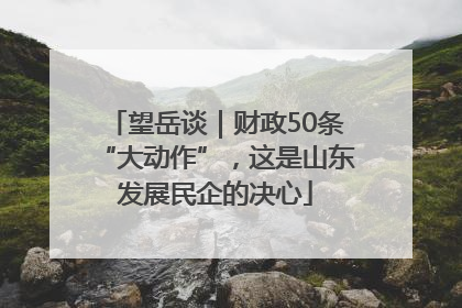 望岳谈｜财政50条“大动作”，这是山东发展民企的决心
