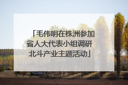 毛伟明在株洲参加省人大代表小组调研北斗产业主题活动