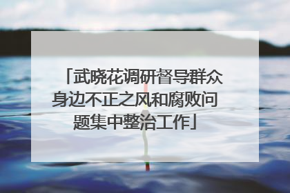 武晓花调研督导群众身边不正之风和腐败问题集中整治工作
