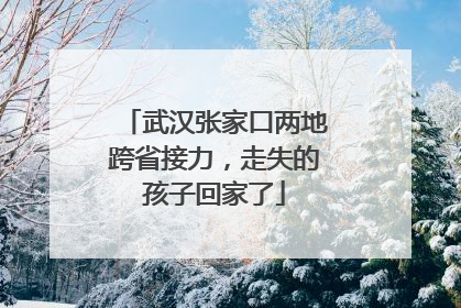 武汉张家口两地跨省接力，走失的孩子回家了