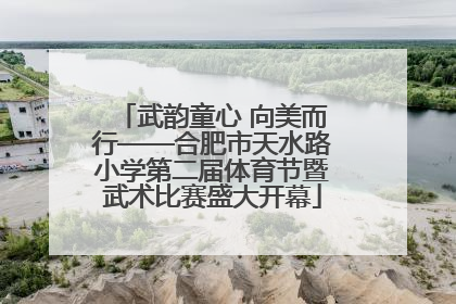 武韵童心 向美而行——合肥市天水路小学第二届体育节暨武术比赛盛大开幕