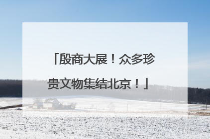 殷商大展！众多珍贵文物集结北京！