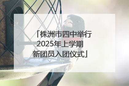 株洲市四中举行2025年上学期新团员入团仪式