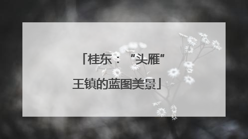 桂东：“头雁”王镇的蓝图美景