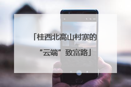 桂西北高山村寨的“云端”致富路