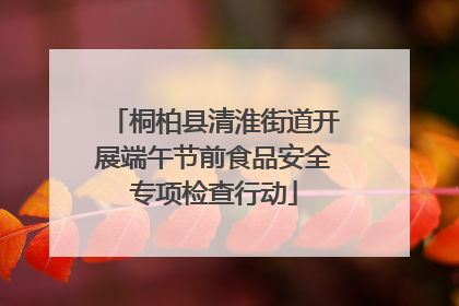 桐柏县清淮街道开展端午节前食品安全专项检查行动
