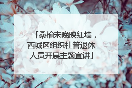 桑榆未晚映红墙，西城区组织社管退休人员开展主题宣讲
