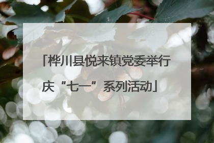 桦川县悦来镇党委举行庆“七一”系列活动