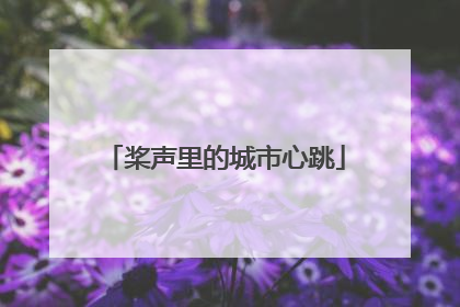 桨声里的城市心跳