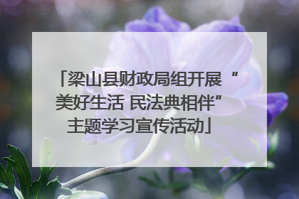 梁山县财政局组开展“美好生活 民法典相伴”主题学习宣传活动