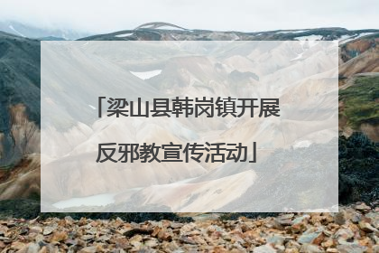 梁山县韩岗镇开展反邪教宣传活动