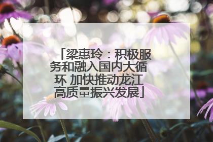 梁惠玲：积极服务和融入国内大循环 加快推动龙江高质量振兴发展