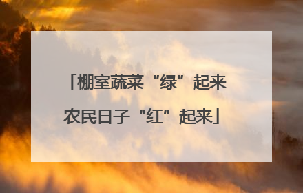棚室蔬菜“绿”起来 农民日子“红”起来