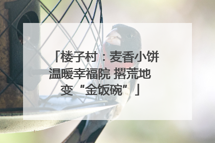 楼子村：麦香小饼温暖幸福院 撂荒地变“金饭碗”