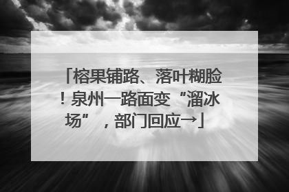 榕果铺路、落叶糊脸！泉州一路面变“溜冰场”，部门回应→