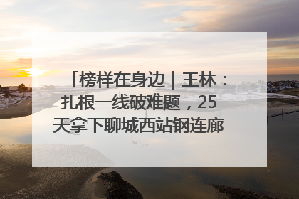 榜样在身边｜王林：扎根一线破难题，25天拿下聊城西站钢连廊“硬核”工程