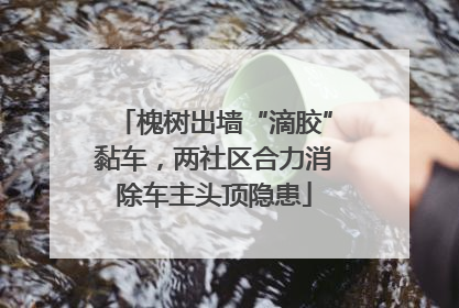 槐树出墙“滴胶”黏车，两社区合力消除车主头顶隐患