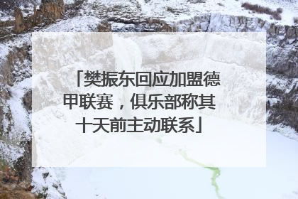 樊振东回应加盟德甲联赛，俱乐部称其十天前主动联系