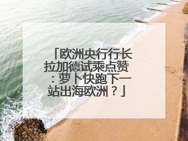 欧洲央行行长拉加德试乘点赞：萝卜快跑下一站出海欧洲？