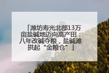 潍坊寿光北部13万亩盐碱地迈向高产田：八年改碱夺粮，盐碱滩拱起“金粮仓”