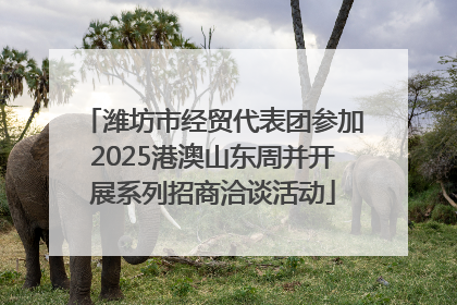 潍坊市经贸代表团参加2025港澳山东周并开展系列招商洽谈活动