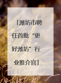 潍坊市聘任首批“更好潍坊”行业推介官